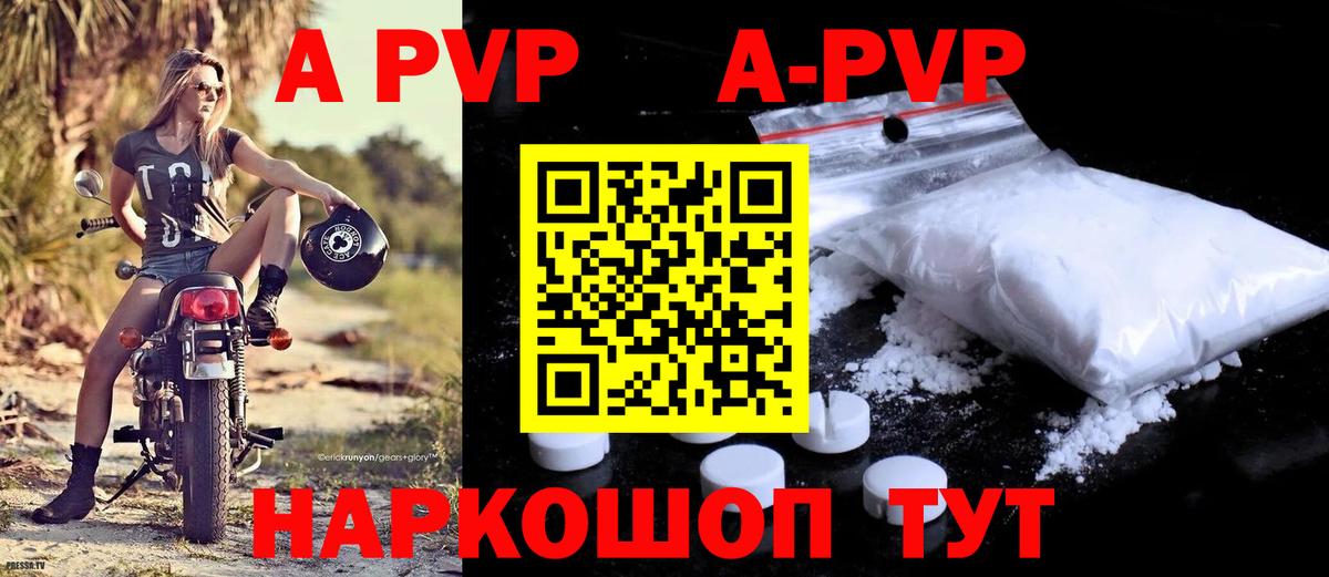 Ржев  Альфа ПВП СК КРИС  Alpha-PVP СК КРИС  Вход с VPN 