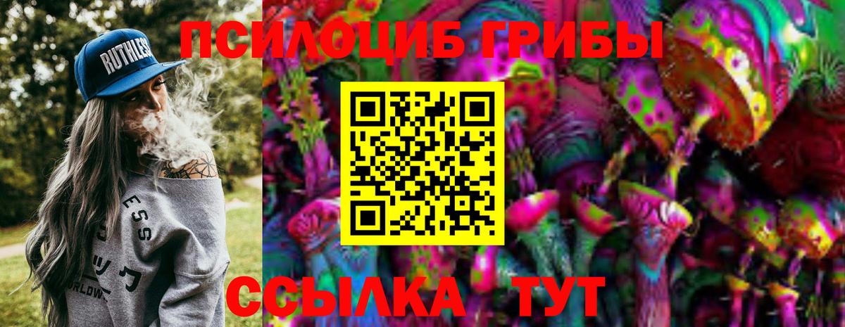 Псилоцибиновые грибы прущие грибы Ржев