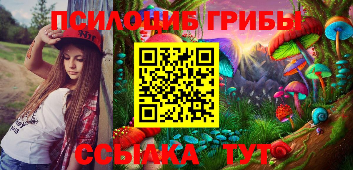 Ржев  Галлюциногенные грибы Magic Shrooms  Псилоцибиновые грибы Cubensis  цена   Вход с VPN 